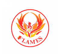 FLAMES