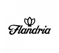FLANDRIA (Бельгия) 40г
