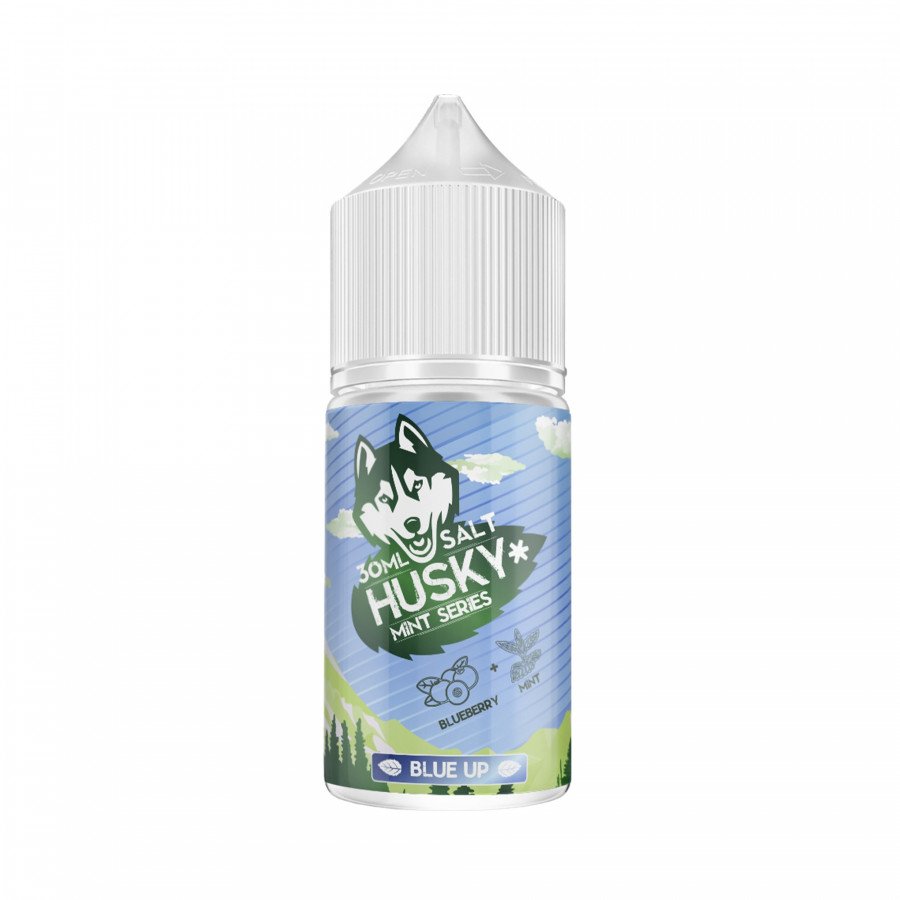 Фото и внешний вид — Жидкость HUSKY MINT SALT - Blue Up (Голубика, мята, холодок) 30мл 20мг
