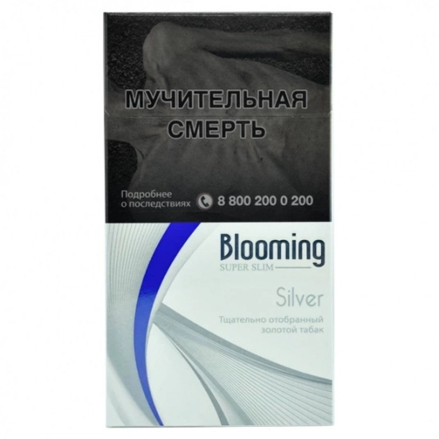 Фото и внешний вид — Сигареты Blooming Super Slim Silver