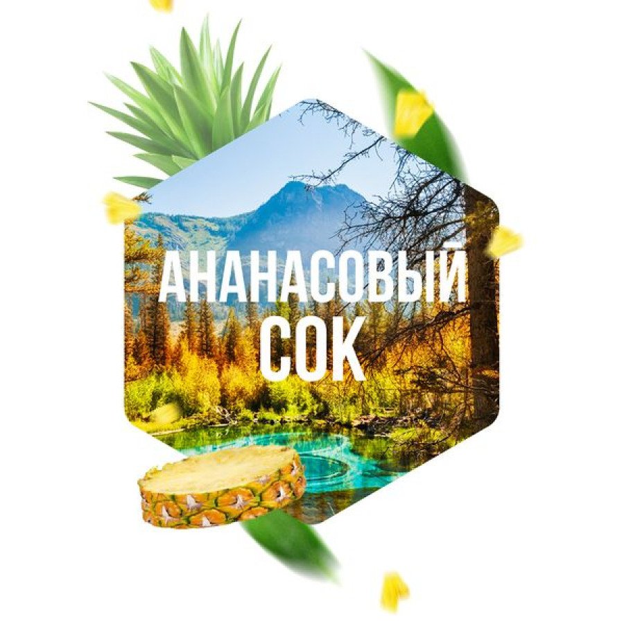 Фото и внешний вид — Табак для кальяна САРМА 120гр - Ананасовый сок