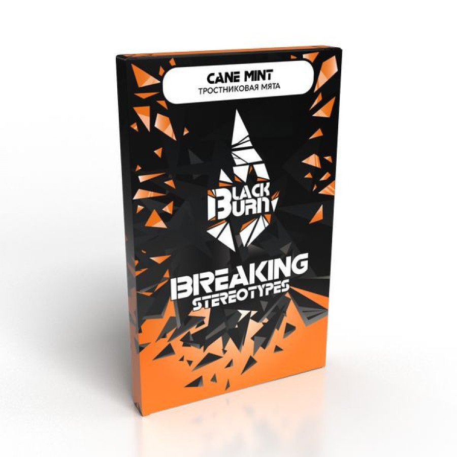 Фото и внешний вид — Табак для кальяна BURN BLACK 100гр - Cane Mint (Тростниковая мята)