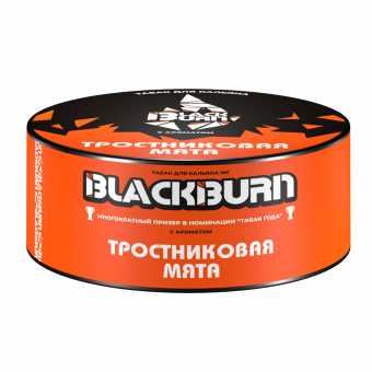 Табак для кальяна BLACK BURN 100г - Тростниковая Мята