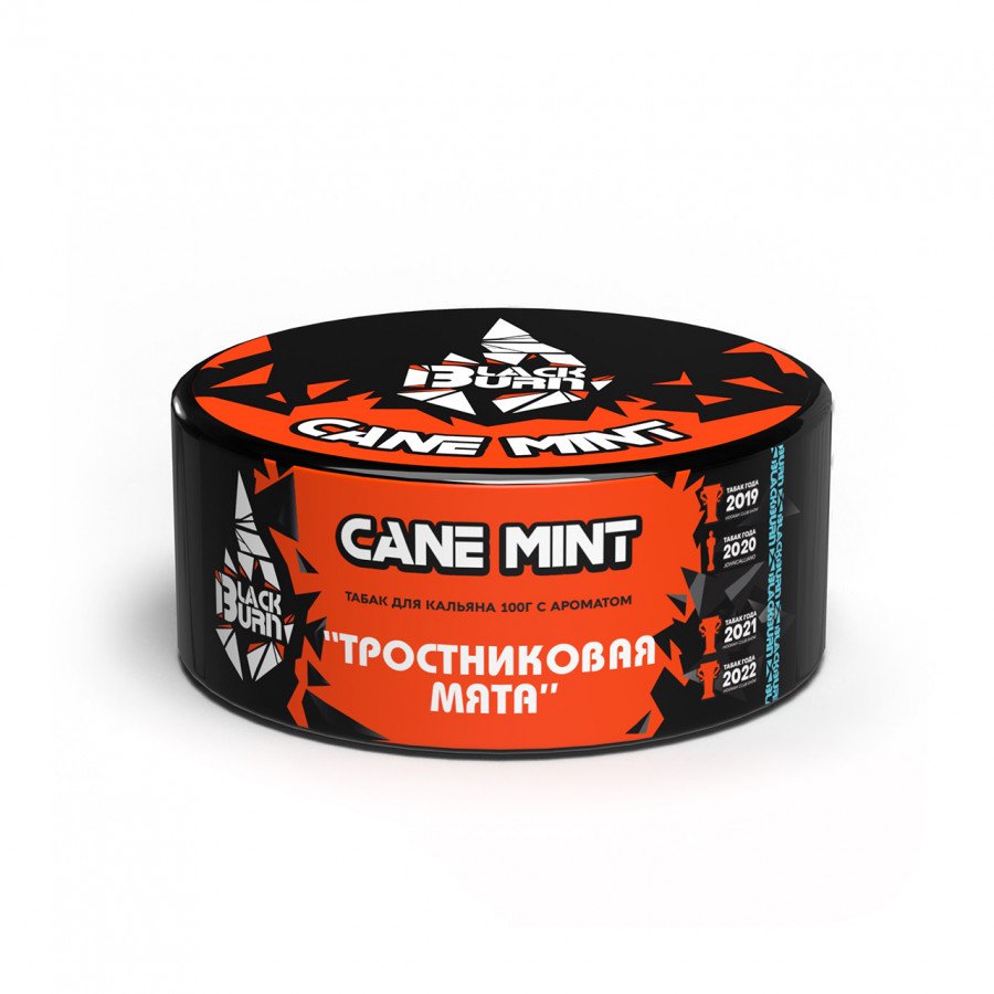 Фото и внешний вид — Табак для кальяна BURN BLACK 100гр - Cane Mint (Тростниковая мята)