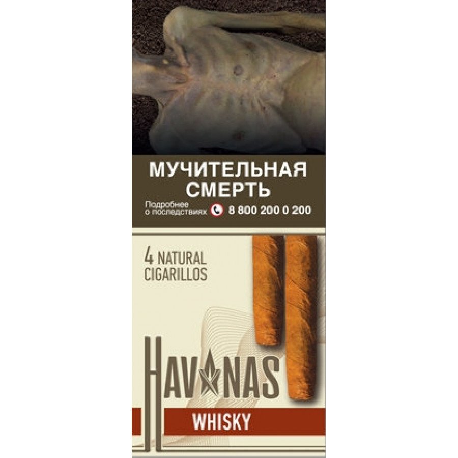Фото и внешний вид — Сигариллы HAVANAS - Whisky (Виски) 4шт