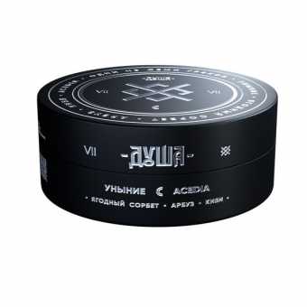 Табак для кальяна ДУША 25гр - Acedia / Уныние (Ягодный сорбет, арбуз, киви)