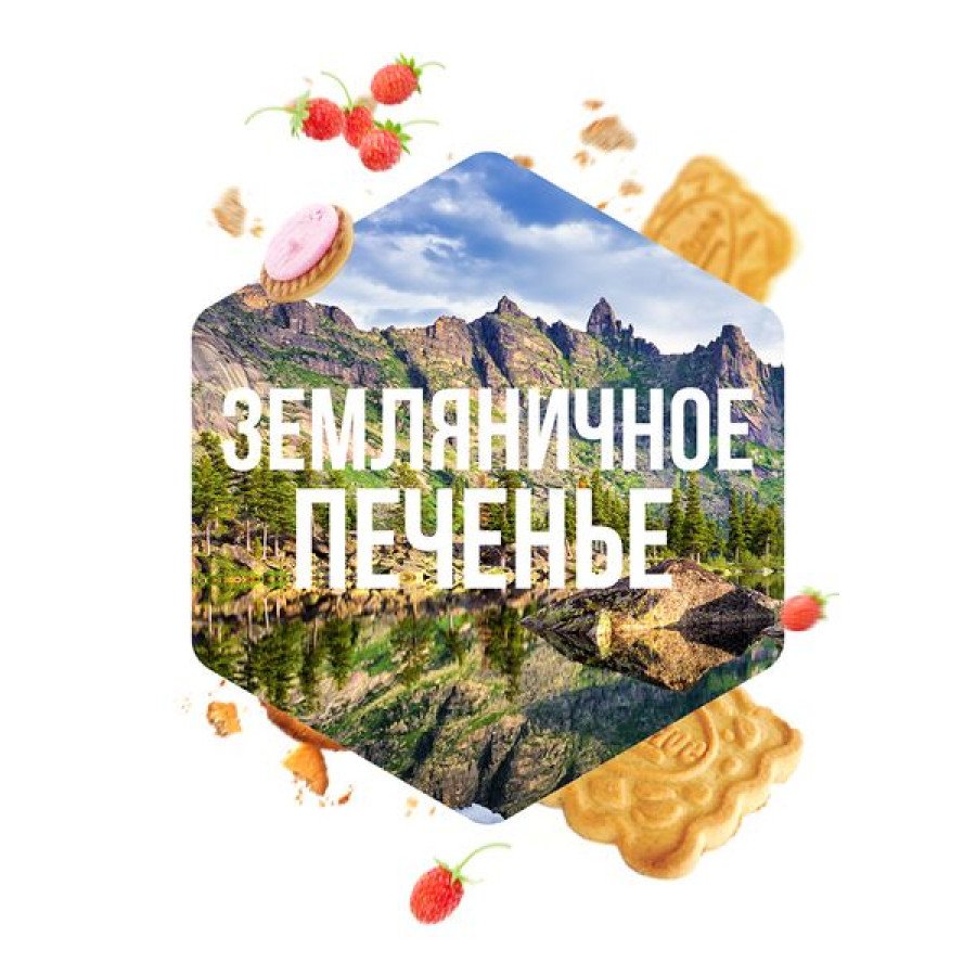 Фото и внешний вид — Табак для кальяна САРМА 120гр - Земляничное печенье