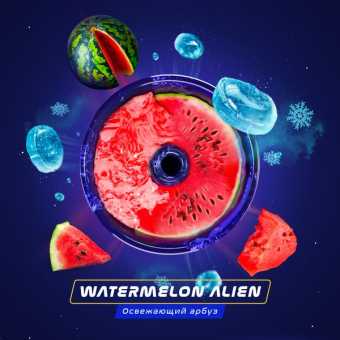 Паста для кальяна SPACE SMOKE (Basic) 30гр - Watermelon Alien (Освежающий арбуз)