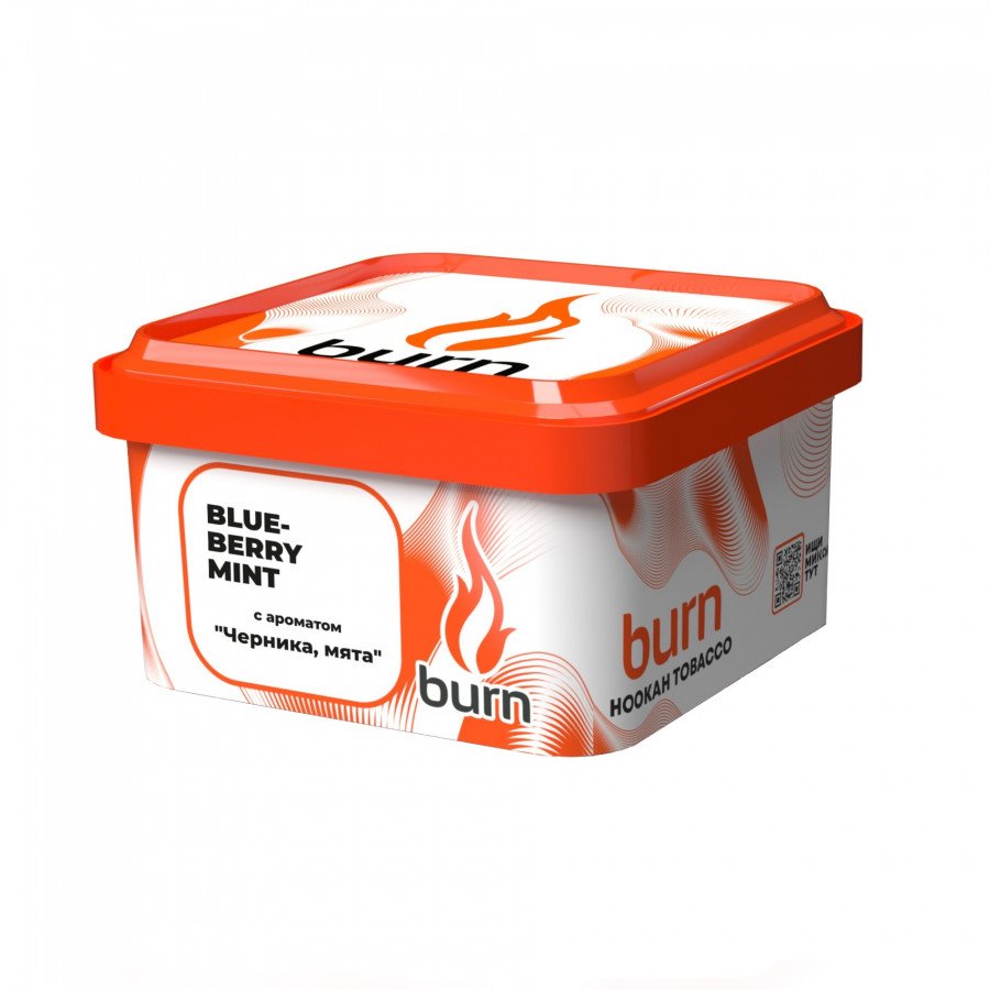 Фото и внешний вид — Табак для кальяна BURN 200г - Blueberry Mint (Черника и мята)